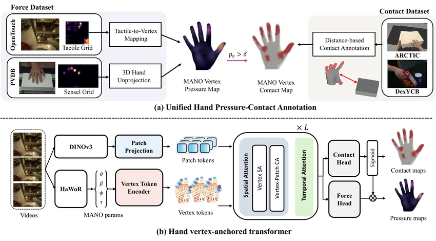 Method overview: heterogeneous force and contact supervision lifted to MANO vertex space, then a vertex-anchored transformer fusing DINOv3 patch tokens with HaWoR-derived vertex tokens.